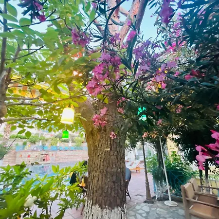 Mountain Valley Oludeniz * Cedit