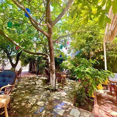 Apartament Mountain Valley Oludeniz *