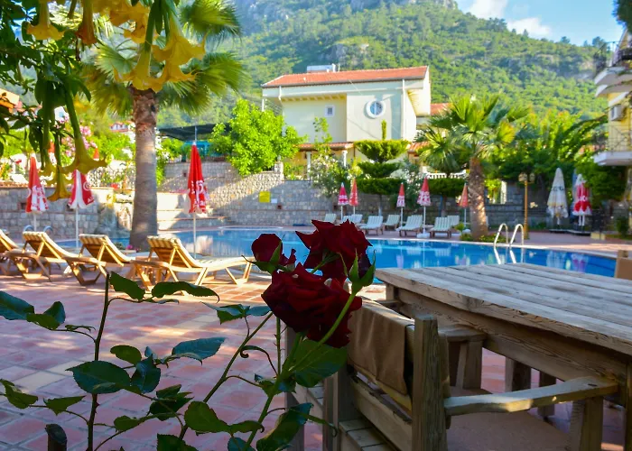 Mountain Valley Apartamento